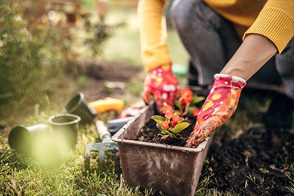 UnitingSA Greener Spaces Grant